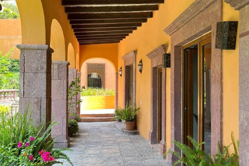 Cousy Condo San Rafael, 3 Blocks From The Parish, Pool, Bbq And Terrace Σαν Μιγκέλ ντε Αγιέντε Εξωτερικό φωτογραφία